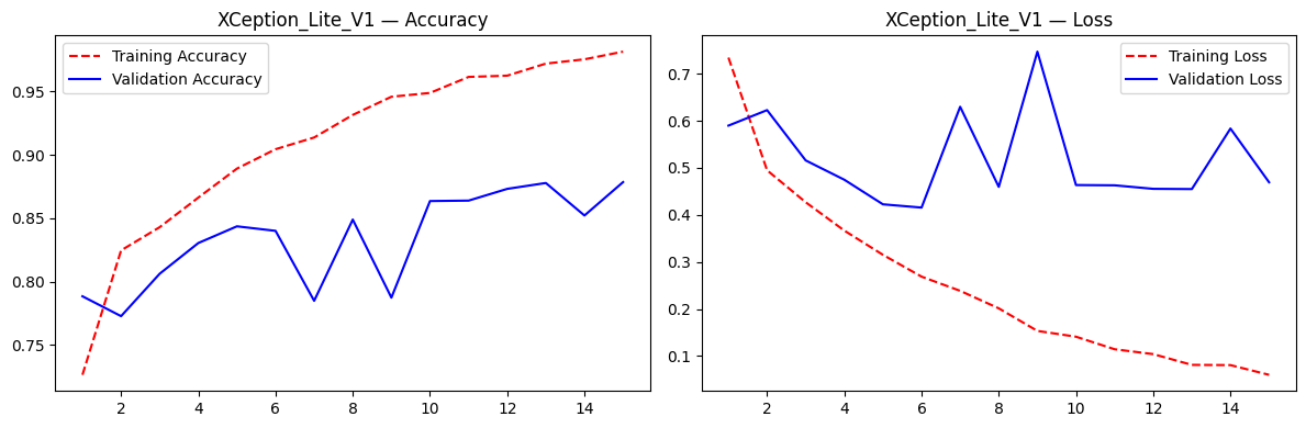 Xception-Lite V1 training curves