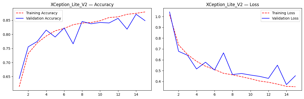 Xception-Lite V2 training curves